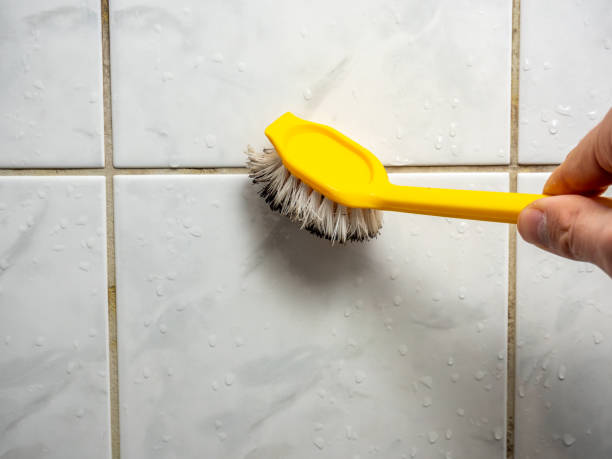 Best Mold Removal Company Near Me  in Aliso Viejo, CA