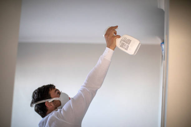 Best Affordable Mold Removal  in Aliso Viejo, CA